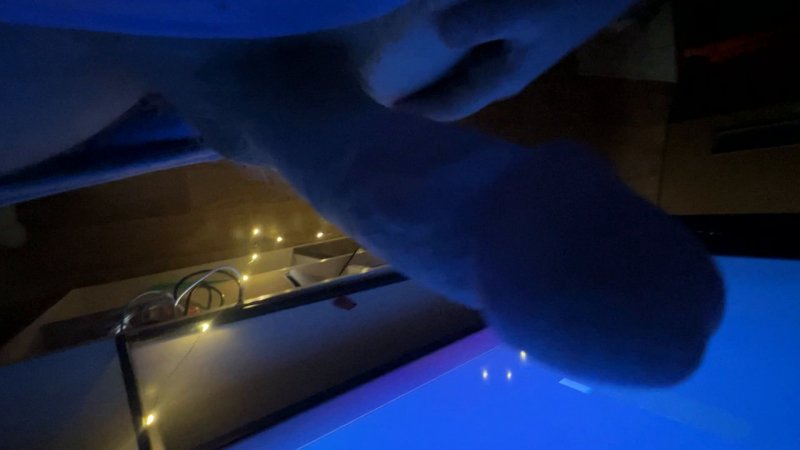 Watch Khaleesi Khalifa fbb clits — 14:40 clit clip
